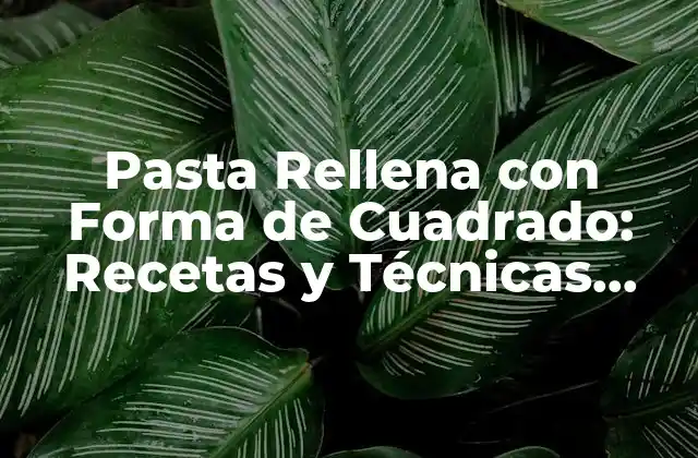 Pasta Rellena con Forma de Cuadrado: Recetas y Técnicas para Impresionar