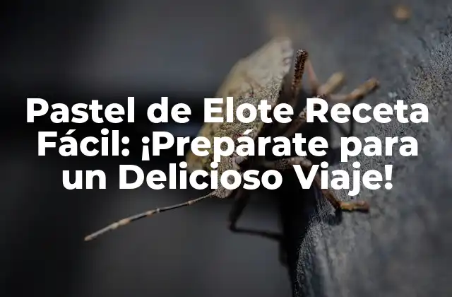 Pastel de Elote Receta Fácil: ¡prepárate para un Delicioso Viaje!