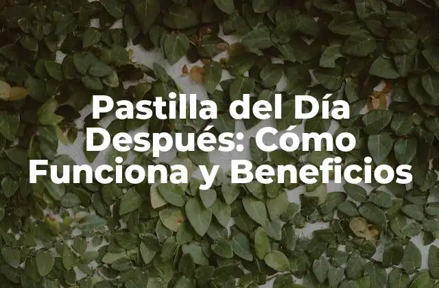 Pastilla Del Día Después: Cómo Funciona y Beneficios 2 ¿Cuál es el Principio Activo de la Pastilla del Día Después?