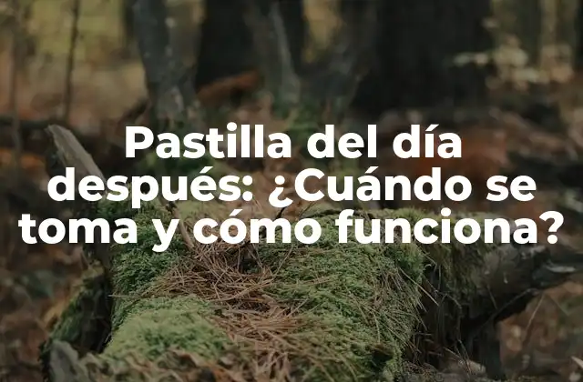Pastilla Del Día Después: ¿cuándo Se Toma y Cómo Funciona?