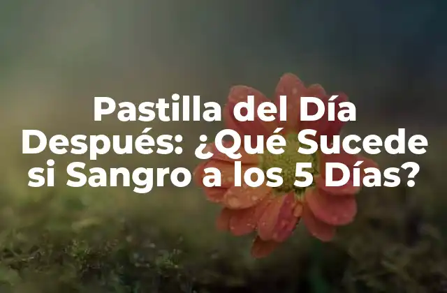 Pastilla Del Día Después: ¿qué Sucede Si Sangro a los 5 Días?