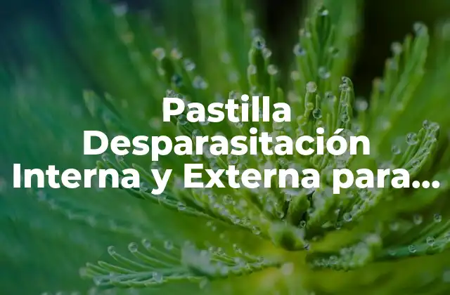 Pastilla Desparasitación Interna y Externa para Perros: Guía Completa