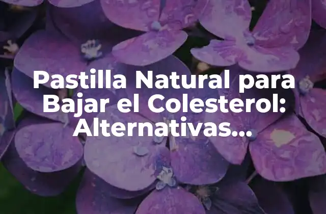 Pastilla Natural para Bajar el Colesterol: Alternativas Saludables para Reducir los Niveles de Colesterol