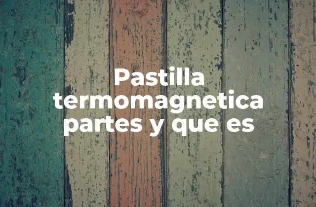 Pastilla Termomagnetica Partes y que es