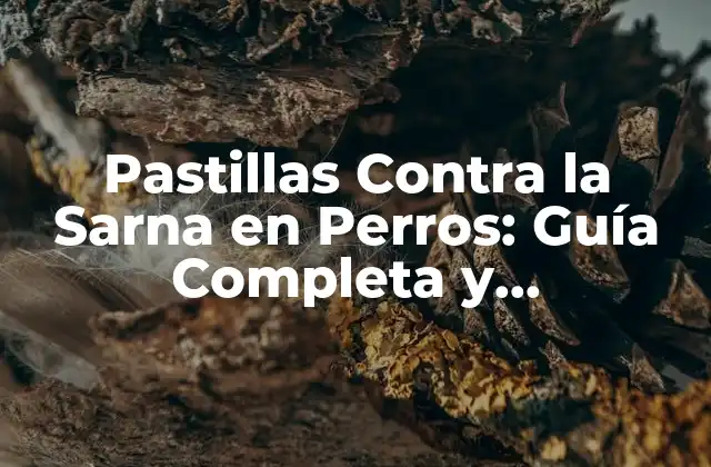 Pastillas contra la Sarna en Perros: Guía Completa y Actualizada