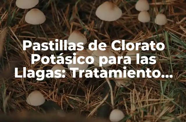 Pastillas de Clorato Potásico para las Llagas: Tratamiento Efectivo y Seguro