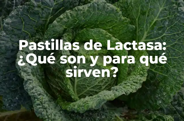 Pastillas de Lactasa: ¿qué Son y para Qué Sirven?