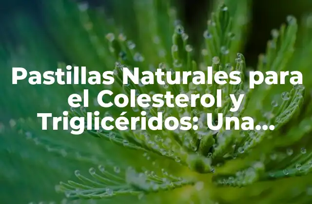 Pastillas Naturales para el Colesterol y Triglicéridos: una Alternativa Segura y Efectiva