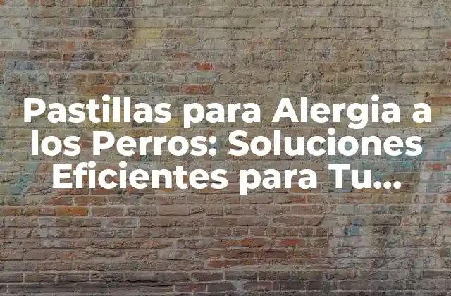 Pastillas para Alergia a los Perros: Soluciones Eficientes para Tu Mascota 2 ¿Cuáles son los Síntomas de la Alergia en Perros?