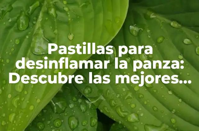 Pastillas para Desinflamar la Panza: Descubre las Mejores Opciones