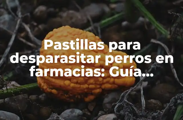 Pastillas para Desparasitar Perros en Farmacias: Guía Completa