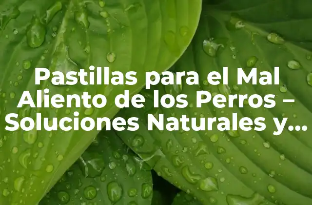 Pastillas para el Mal Aliento de los Perros – Soluciones Naturales y Efectivas