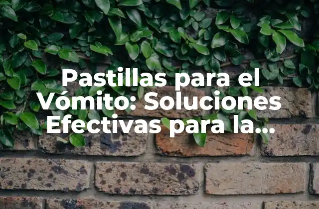 Pastillas para el Vómito: Soluciones Efectivas para la Náusea y el Malestar 2 Causas del Vómito y la Náusea