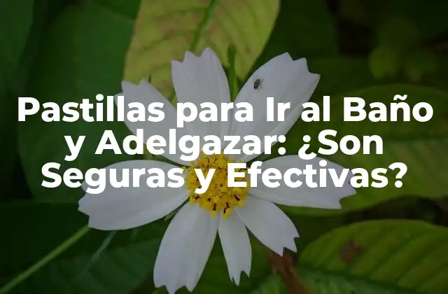 Pastillas para Ir Al Baño y Adelgazar: ¿son Seguras y Efectivas?