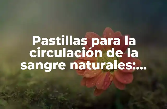 Pastillas para la Circulación de la Sangre Naturales: Mejora Tu Salud Cardiovascular