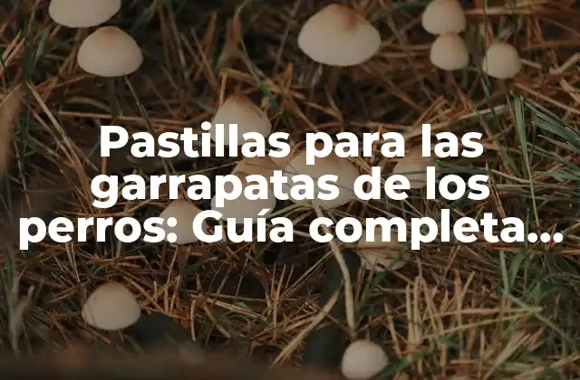 Pastillas para las Garrapatas de los Perros: Guía Completa para Proteger a Tu Mascota