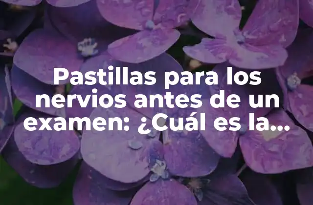 Pastillas para los Nervios Antes de un Examen: ¿cuál es la Mejor Opción?