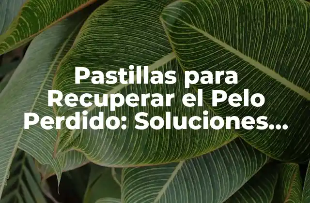 Pastillas para Recuperar el Pelo Perdido: Soluciones Efectivas para la Pérdida de Cabello