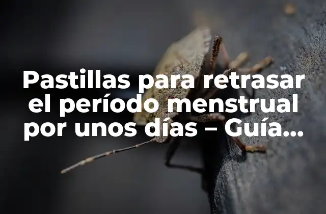 Pastillas para Retrasar el Período Menstrual por unos Días – Guía Completa
