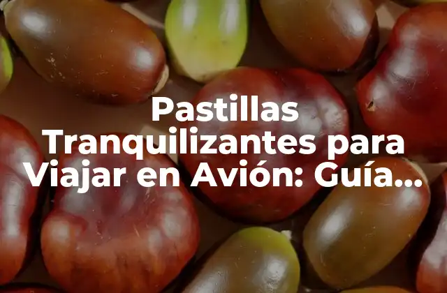 Pastillas Tranquilizantes para Viajar en Avión: Guía Completa