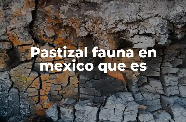 Pastizal Fauna en Mexico que es
