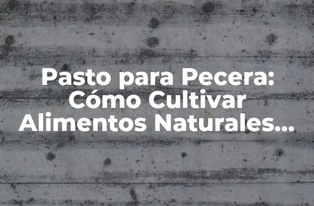 Pasto para Pecera: Cómo Cultivar Alimentos Naturales para Sus Peces 2 ¿Qué es el Pasto para Pecera?