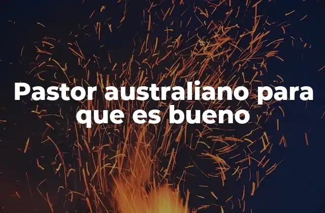 Pastor Australiano para que es Bueno