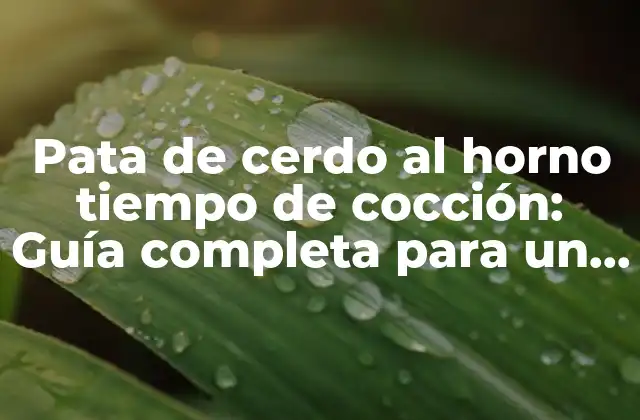Pata de Cerdo Al Horno Tiempo de Cocción: Guía Completa para un Resultado Perfecto