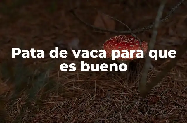 Pata de Vaca para que es Bueno