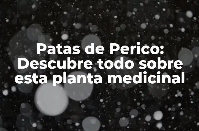 Patas de Perico: Descubre Todo sobre Esta Planta Medicinal