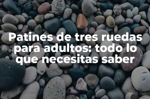 Patines de Tres Ruedas para Adultos: Todo Lo que Necesitas Saber