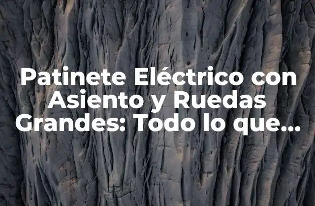 Patinete Eléctrico con Asiento y Ruedas Grandes: Todo Lo que Necesitas Saber