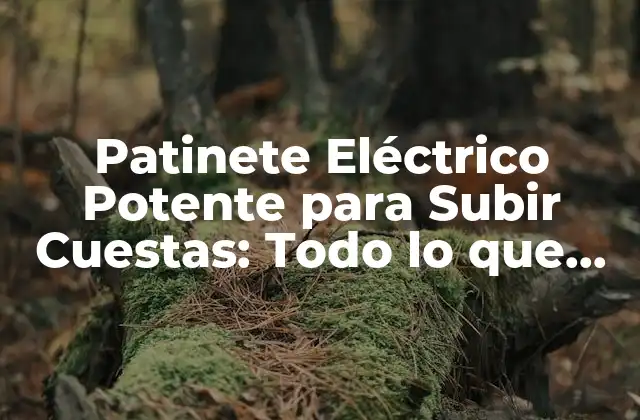 Patinete Eléctrico Potente para Subir Cuestas: Todo Lo que Necesitas Saber