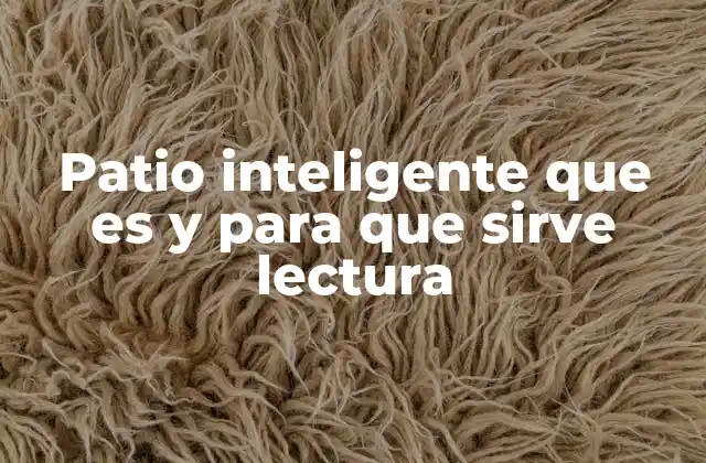 Patio Inteligente que es y para que Sirve Lectura