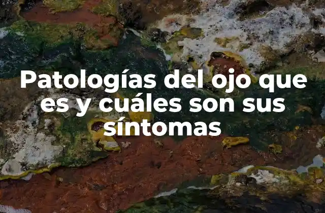 Patologías Del Ojo que es y Cuáles Son Sus Síntomas