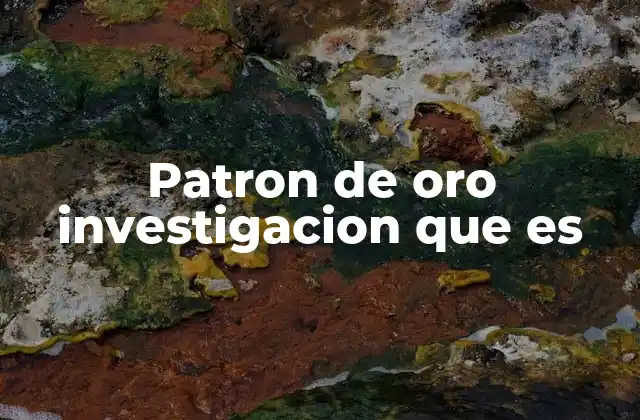 Patron de Oro Investigacion que es
