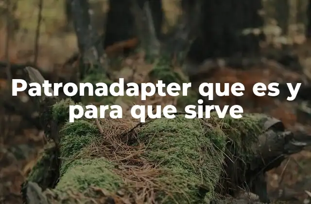 Patronadapter que es y para que Sirve 2 El patrón de diseño Adapter en la arquitectura de software