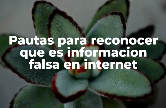 Pautas para Reconocer que es Informacion Falsa en Internet 2 Cómo navegar por internet sin caer en engaños