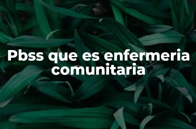 El rol de los enfermeros comunitarios en la atención de salud pública