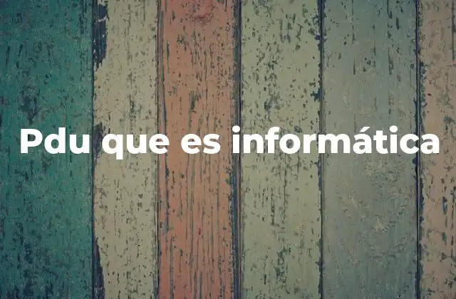 Pdu que es Informática