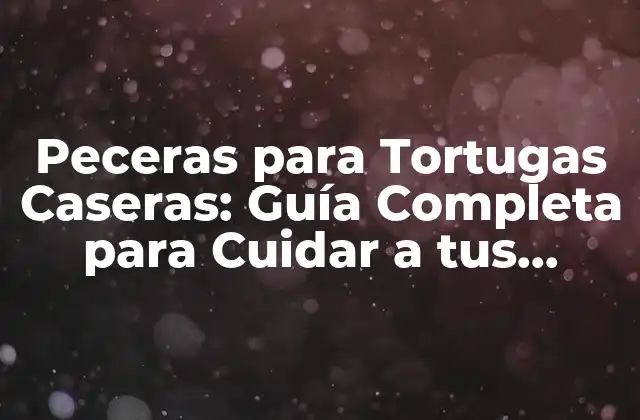 Peceras para Tortugas Caseras: Guía Completa para Cuidar a Tus Tortugas