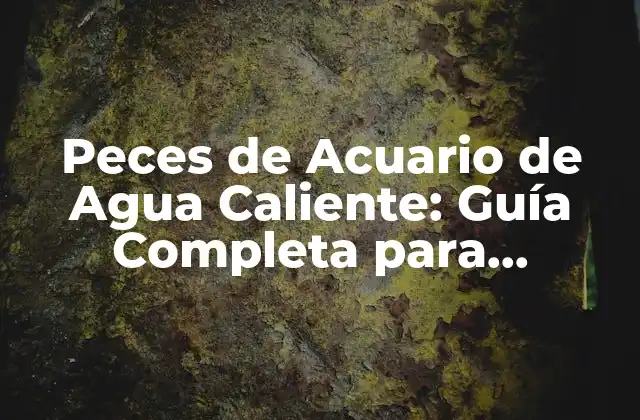 Peces de Acuario de Agua Caliente: Guía Completa para Principiantes y Expertos