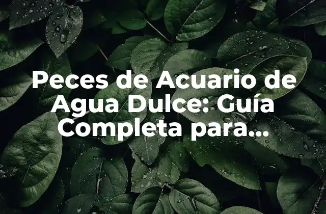 Peces de Acuario de Agua Dulce: Guía Completa para Principiantes y Expertos