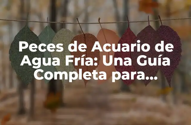 Peces de Acuario de Agua Fría: una Guía Completa para Principiantes
