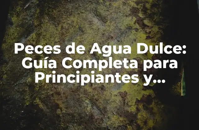Peces de Agua Dulce: Guía Completa para Principiantes y Expertos 2 Características de los Peces de Agua Dulce