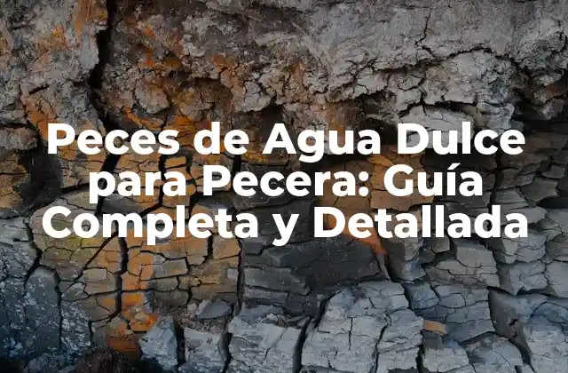 Peces de Agua Dulce para Pecera: Guía Completa y Detallada