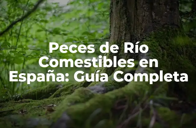 Peces de Río Comestibles en España: Guía Completa