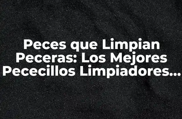 Peces que Limpian Peceras: los Mejores Pececillos Limpiadores para Su Acuario