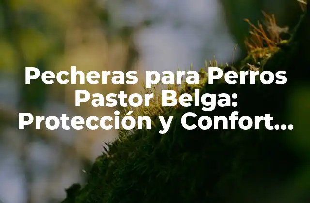 Pecheras para Perros Pastor Belga: Protección y Confort para Tu Amigo Canino
