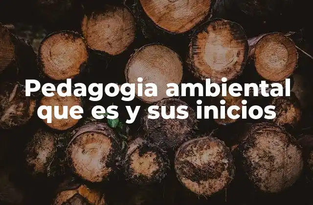 Pedagogia Ambiental que es y Sus Inicios